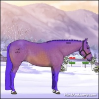 Horse Color:Watercolor Buckskin 