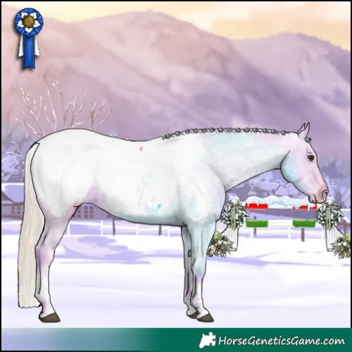 Horse Color:Watercolor Chestnut Tobiano Appaloosa 