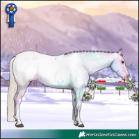 Horse Color:Watercolor Chestnut Tobiano Appaloosa