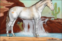 Horse Color:White Spotted Brown Pearl Dun Rabicano