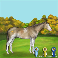 Horse Color:White Spotted Chocolate Palomino Dun
