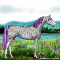 Horse Color:Painted Perlino Ice Onyx 