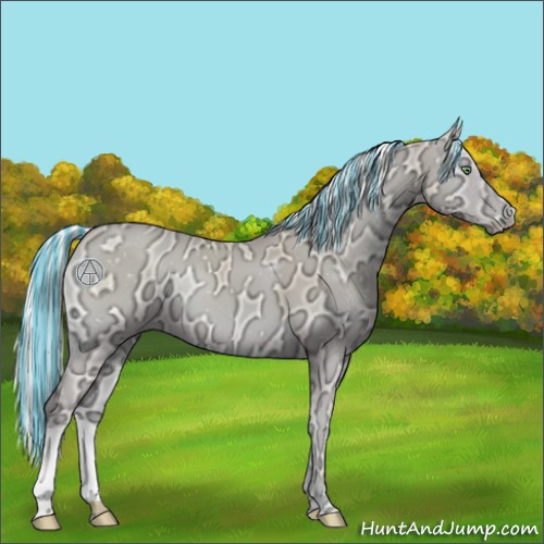Horse Color:Painted Silver Perlino Ice Onyx