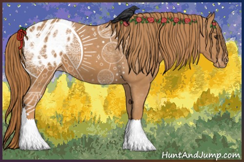 Horse Color:Chestnut Blanket