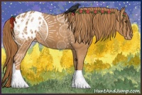 Horse Color:Chestnut Appaloosa