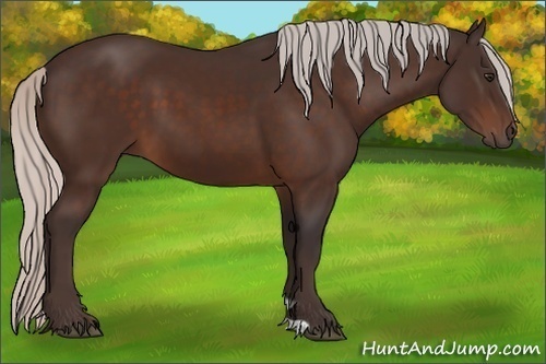 Horse Color:Silver Brown 
