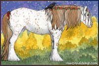 Horse Color:Chestnut Appaloosa