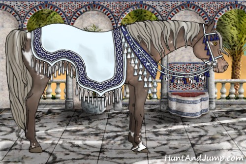 Horse Color:White Spotted Liver Chestnut Mushroom Sabino Blanket