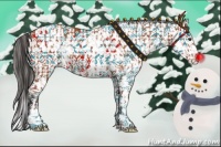 Horse Color:Bay Sabino  and Bay Sabino 