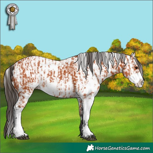 Horse Color:Bay Sabino  and Bay Sabino 