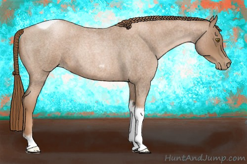 Horse Color:Liver Red Roan Pearl Tobiano Frame 