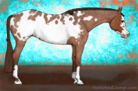 Horse Color:Liver Red Roan Frame Near Leopard 