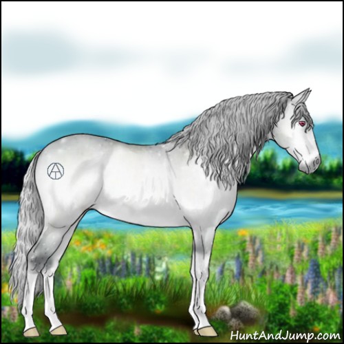 Horse Color:Silver Bay Chinchilla Onyx Mushroom 