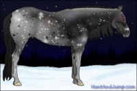 Horse Color:ERROR: UNKNOWN ANOMALY