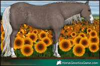 Horse Color:Silver Black 