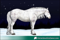 Horse Color:Watercolor Plaid  White Spotted Silver Black Chinchilla Ice Pearl Splash Tobiano 