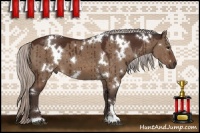 Horse Color:White Spotted Silver Brown Dun
