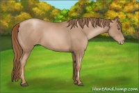 Horse Color:Liver Chestnut Pearl  and Liver Chestnut Pearl 