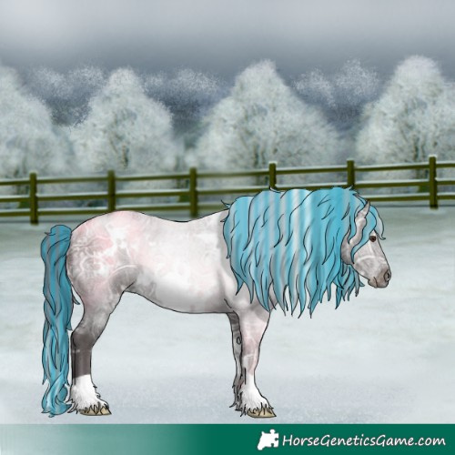Horse Color:Painted White Spotted Liver Chestnut Ice Rabicano