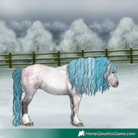 Horse Color:Painted White Spotted Liver Chestnut Ice Rabicano 