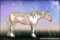 Horse Color:Watercolor White Spotted Silver Black Ice