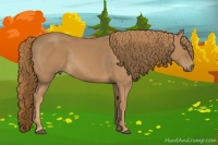 Horse Color:Chestnut Rabicano 