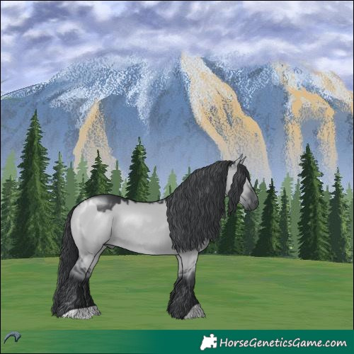 Horse Color:Grullo Chinchilla Rabicano 