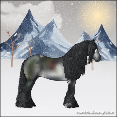 Horse Color:Brown Chinchilla 