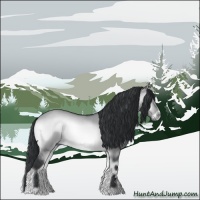 Horse Color:Brown Chinchilla Onyx Sabino