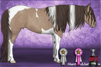 Horse Color:Classic Champagne Tobiano Varnish 