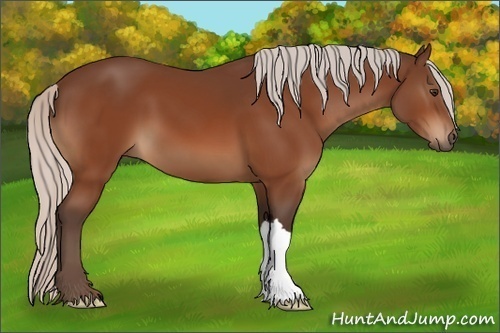 Horse Color:Silver Brown 