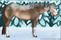 Horse Color:White Spotted Liver Chestnut Sabino