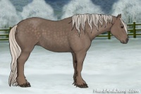 Horse Color:Silver Blue Roan