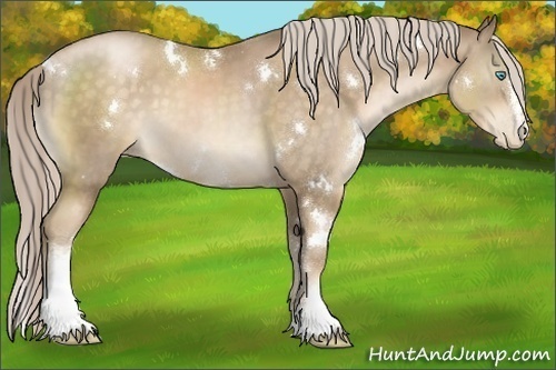 Horse Color:White Spotted Chocolate Palomino Pearl 