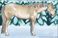 Horse Color:White Spotted Chocolate Palomino Pearl 