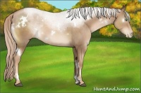 Horse Color:White Spotted Liver Chestnut Pearl 
