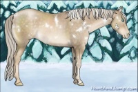 Horse Color:White Spotted Chocolate Palomino Pearl 