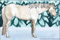 Horse Color:White Spotted Chocolate Palomino Pearl 