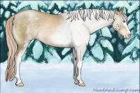 Horse Color:White Spotted Chocolate Palomino Pearl Sabino