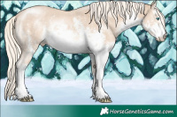 Horse Color:White Spotted Cremello Sabino 