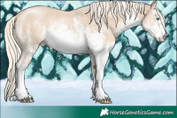 Horse Color:White Spotted Cremello Sabino