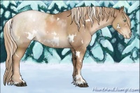 Horse Color:White Spotted Liver Chestnut Pearl Sabino 