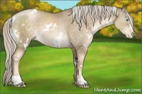 Horse Color:White Spotted Chocolate Palomino Pearl Sabino