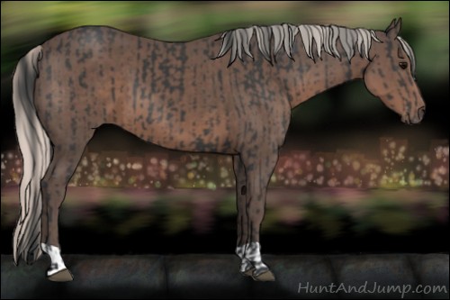Horse Color:Black and Silver Black