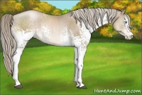 Horse Color:White Spotted Chocolate Palomino Pearl 