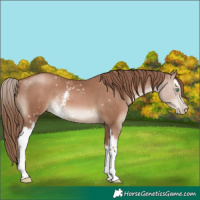 Horse Color:White Spotted Chocolate Black Pearl 