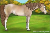 Horse Color:White Spotted Liver Chestnut Pearl 