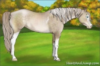 Horse Color:White Spotted Chocolate Palomino Pearl 