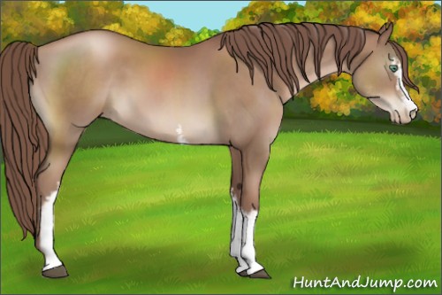 Horse Color:White Spotted Chocolate Black Pearl 