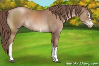 Horse Color:White Spotted Chocolate Black Pearl 